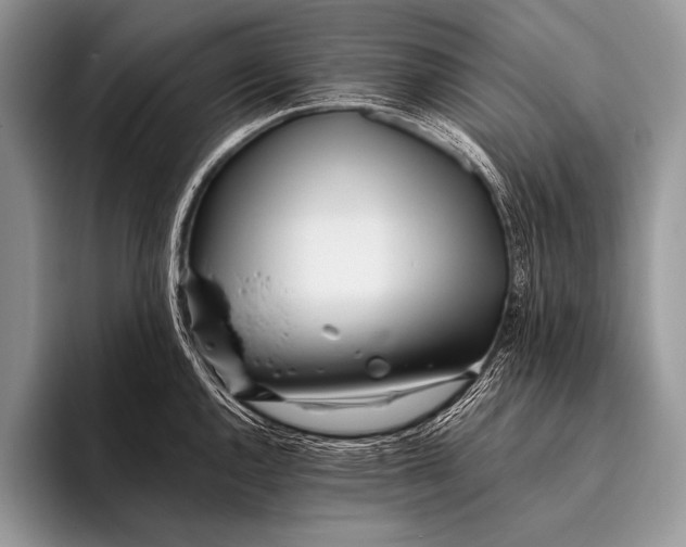 X0000096201144200802081535