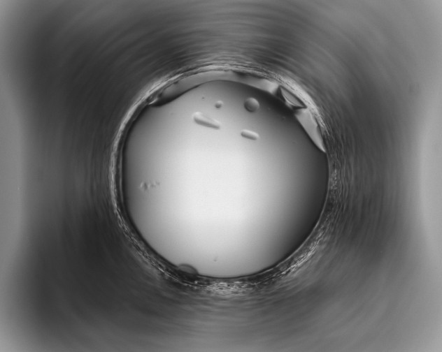 X0000096201146200802081535