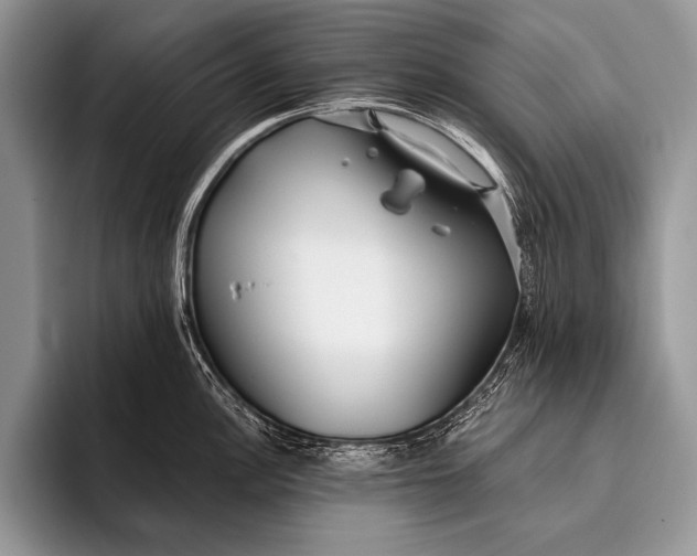 X0000096201148200802081535