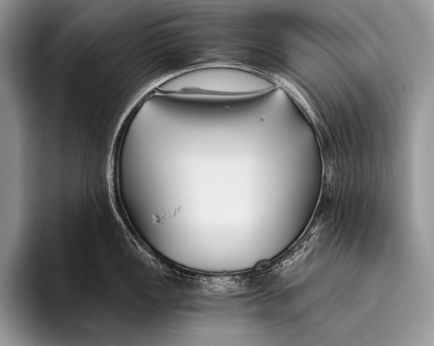 X0000096201149200802081535