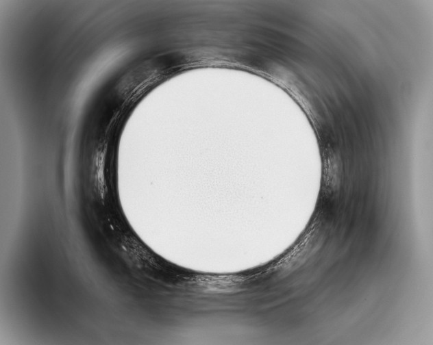 X0000096201150200802081535