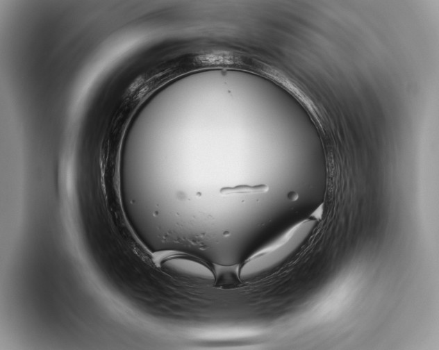 X0000096201151200802081535