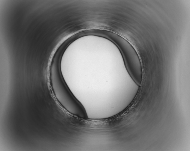 X0000096201152200802081535