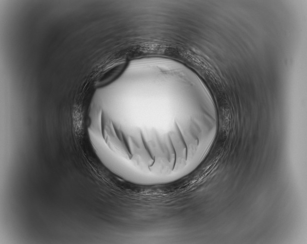 X0000096201154200802081534