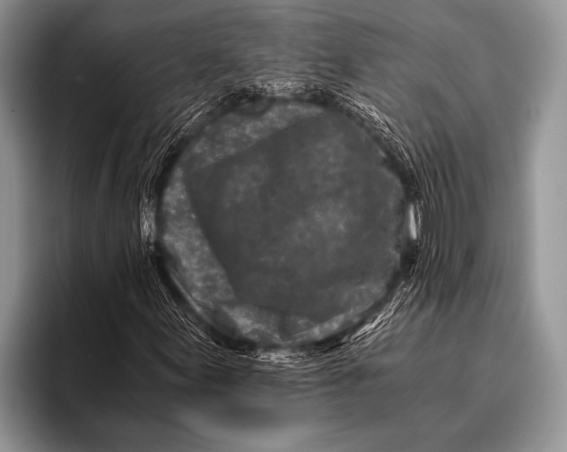 X0000096201155200802081534