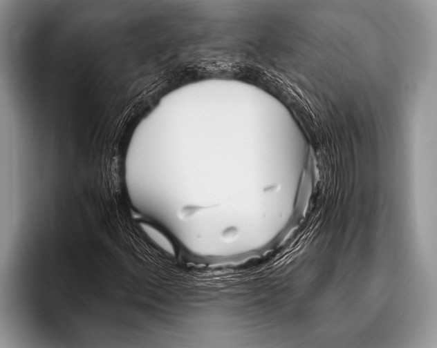 X0000096201156200802081534