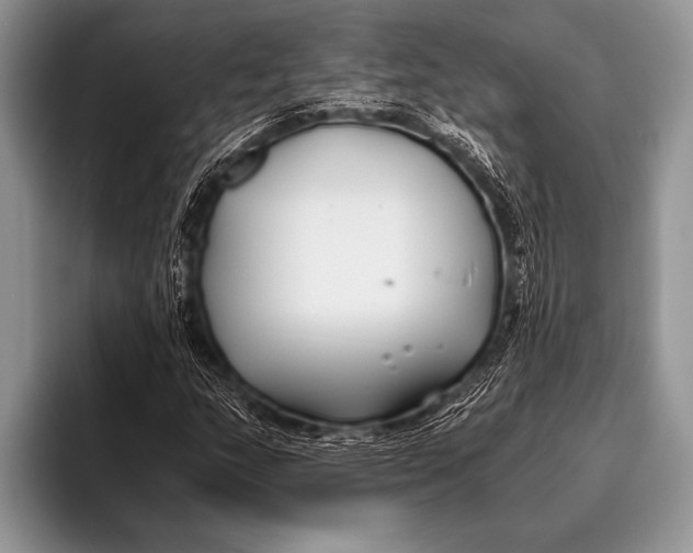 X0000096201159200802081534