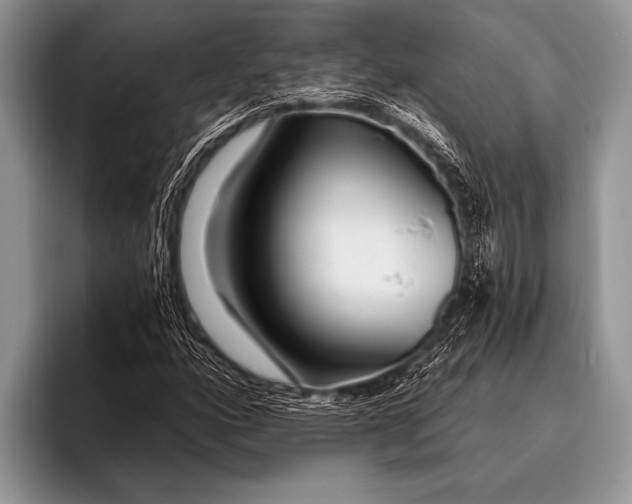 X0000096201160200802081534