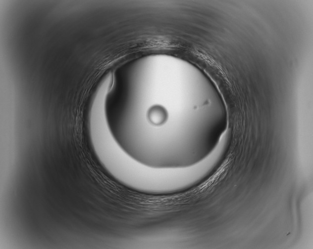 X0000096201161200802081534