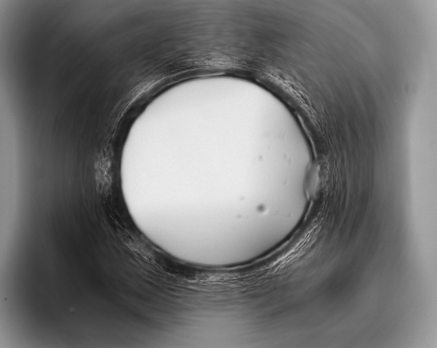 X0000096201163200802081534