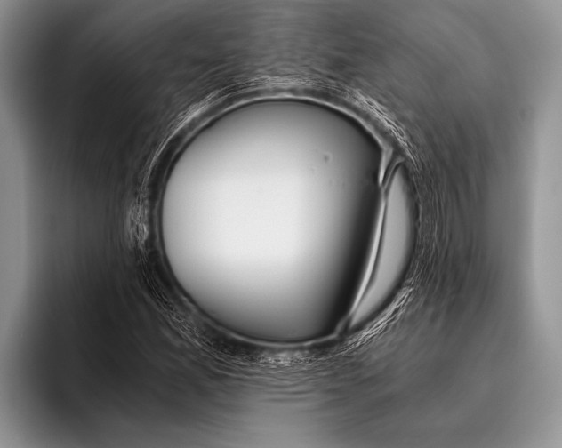 X0000096201165200802081534