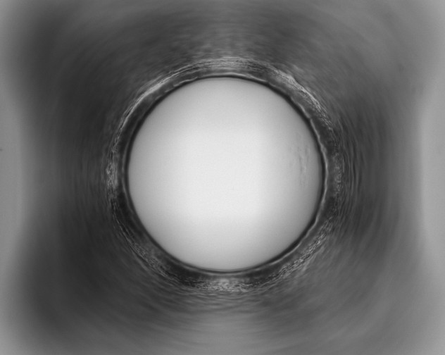 X0000096201166200802081534