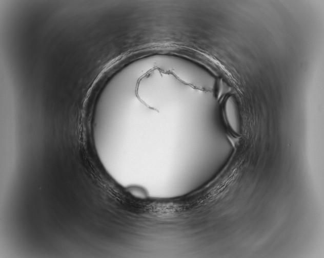 X0000096201168200802081534