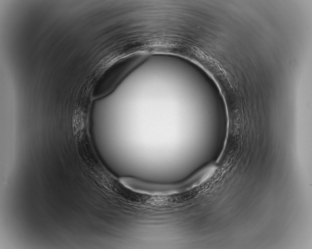 X0000096201169200802081534