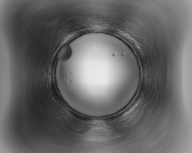 X0000096201170200802081534