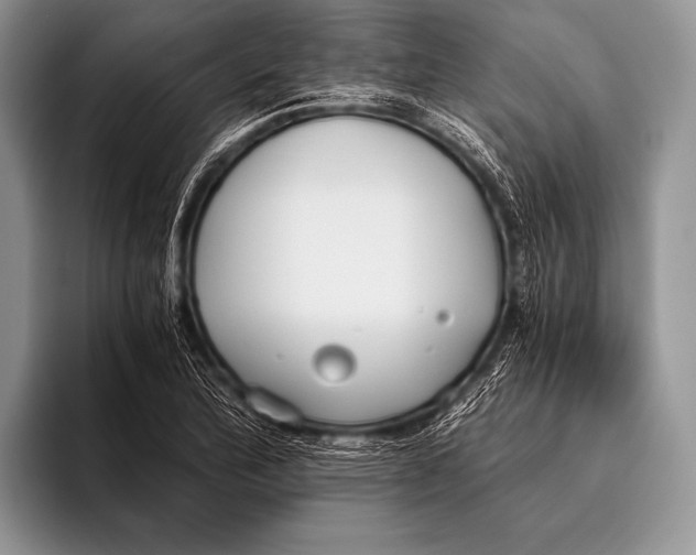 X0000096201172200802081534