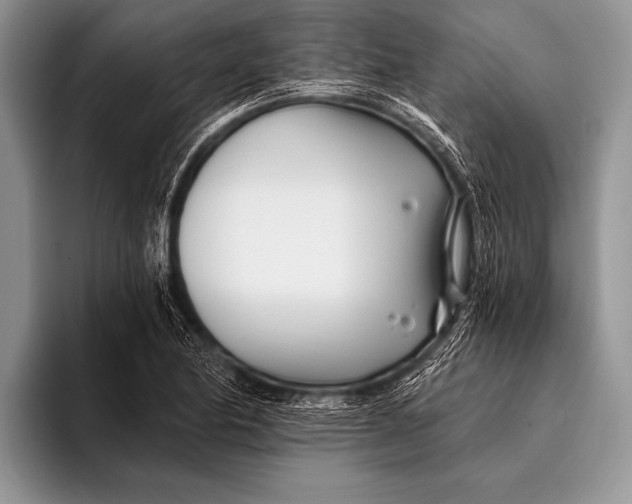 X0000096201174200802081534