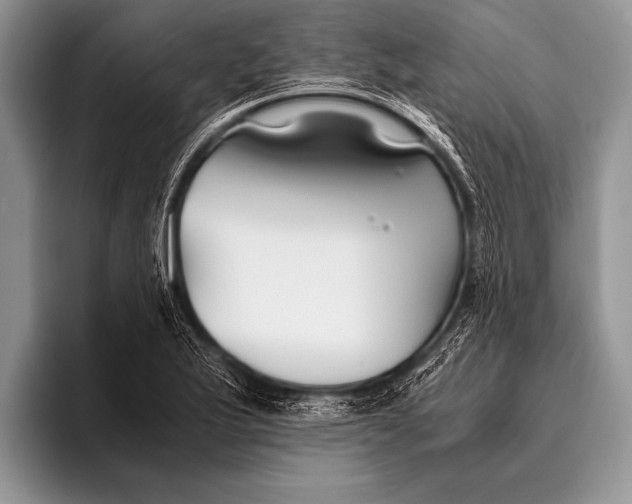 X0000096201175200802081534