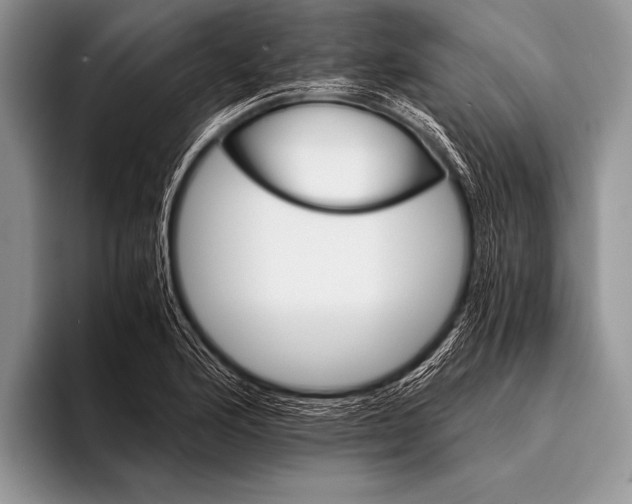 X0000096201176200802081534