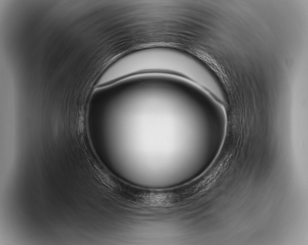 X0000096201177200802081534