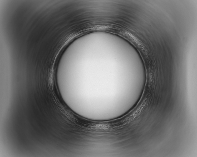 X0000096201178200802081534