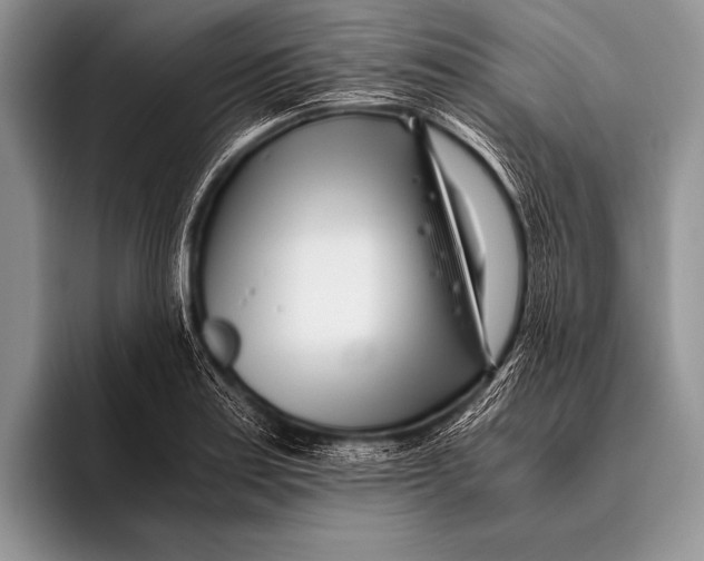 X0000096201179200802081534