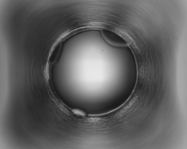 X0000096201180200802081534