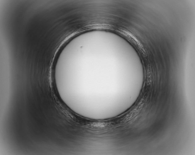 X0000096201182200802081534