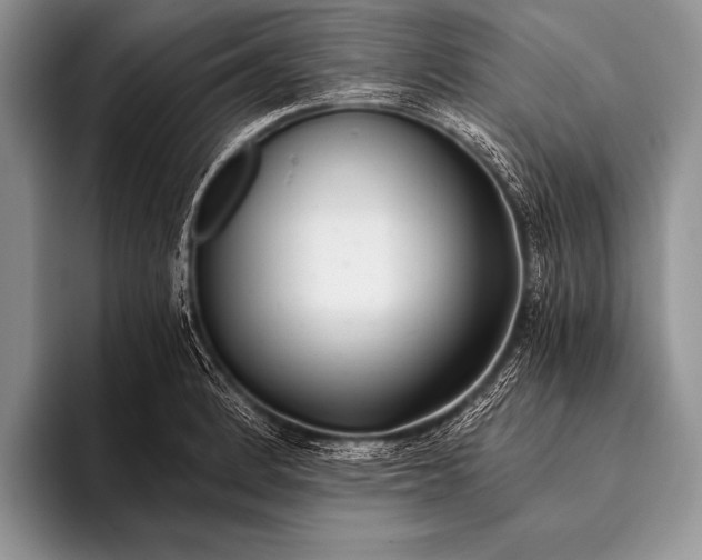 X0000096201184200802081534