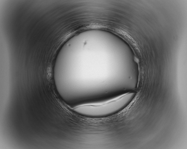 X0000096201185200802081534