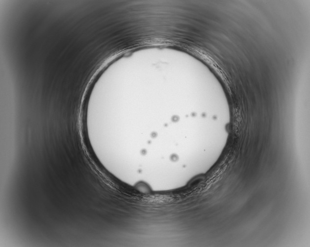 X0000096201187200802081534