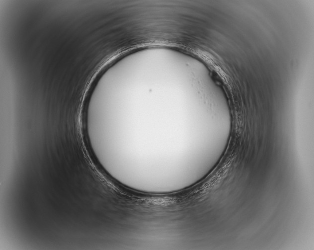 X0000096201189200802081534