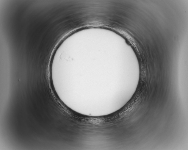 X0000096201191200802081534