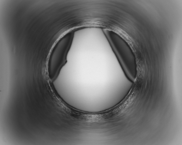 X0000096201192200802081534