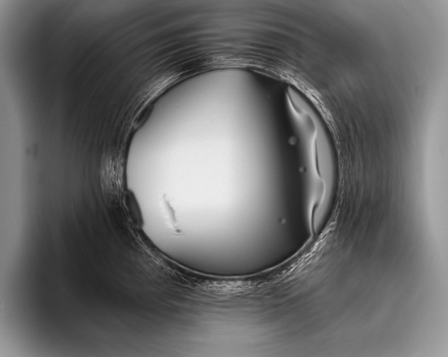 X0000096201193200802081534