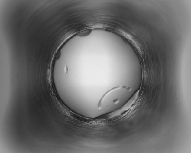 X0000096201194200802081534