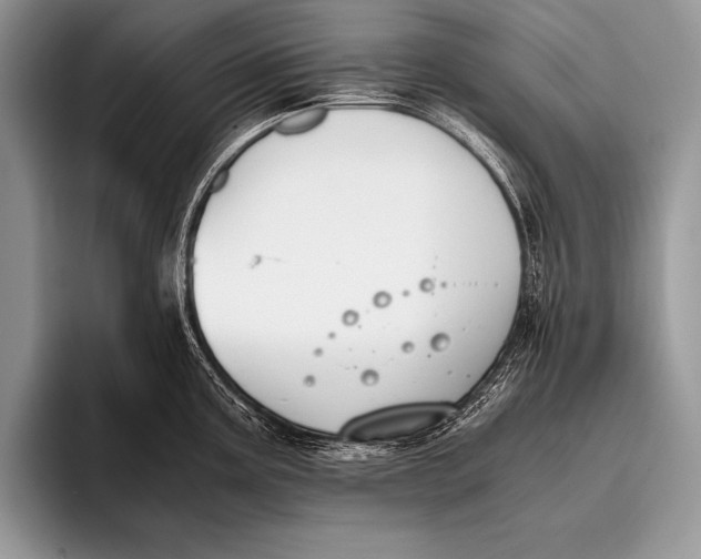 X0000096201195200802081534