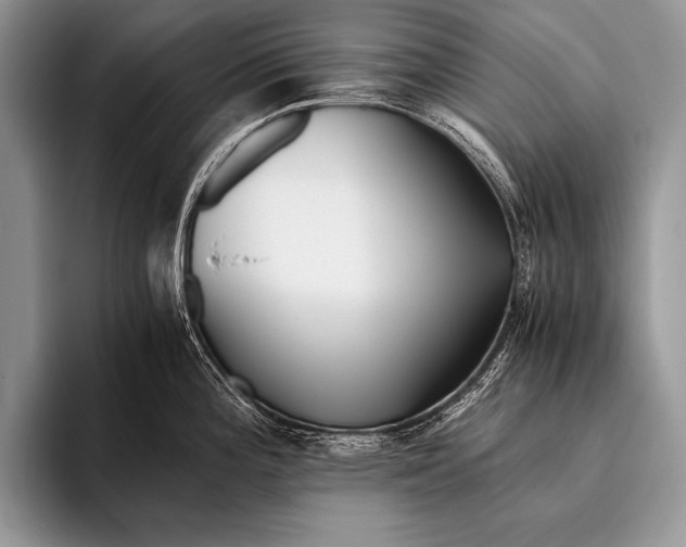 X0000096201196200802081534