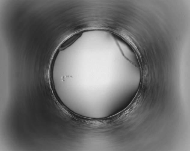 X0000096201197200802081534