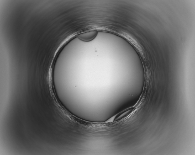 X0000096201198200802081534