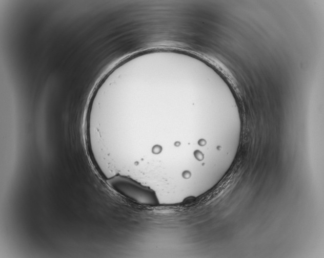 X0000096201199200802081534