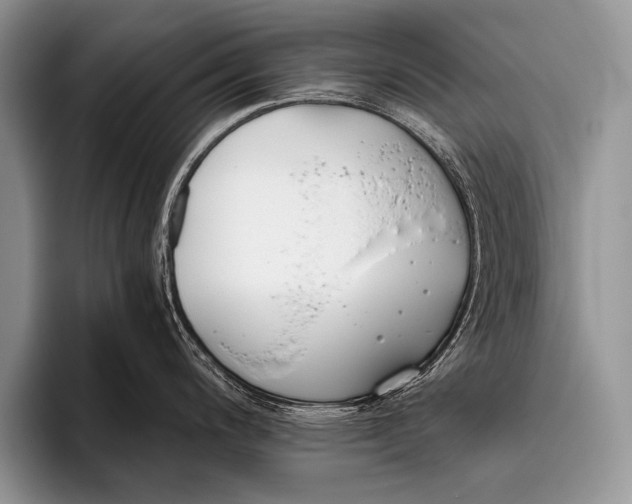 X0000096201200200802081534