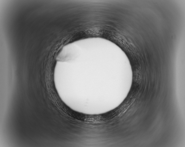 X0000096201201200802081533