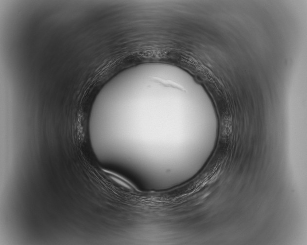 X0000096201202200802081533