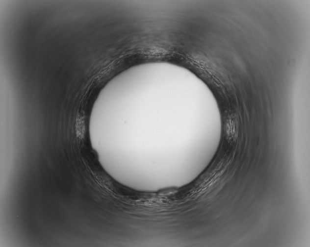 X0000096201204200802081533