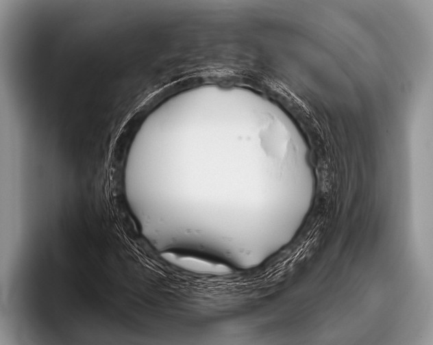 X0000096201208200802081533