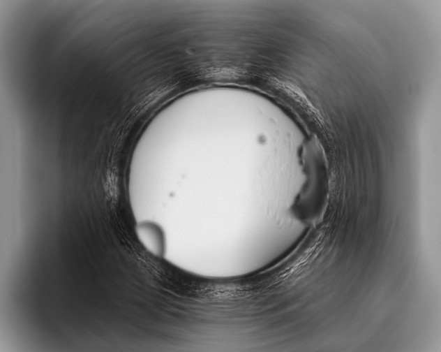 X0000096201209200802081533