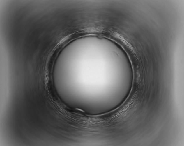 X0000096201213200802081533