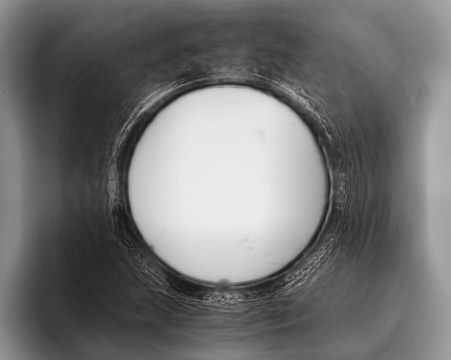 X0000096201215200802081533