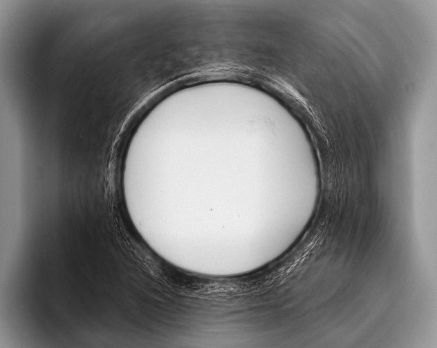 X0000096201216200802081533